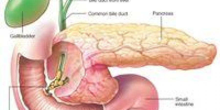 انتفاخ
      البطن
      وعلاقته
      بالبنكرياس
      بين
      الأعراض
      والتشخيص
      الطبي
      الدقيق