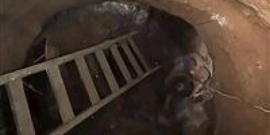 مصرع
      شخصين
      أثناء
      التنقيب
      عن
      الآثار
      بطامية..
      وانهيار
      حفرة
      على
      عمق
      15
      مترًا
      ينهي
      حياتهما