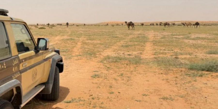 الأمن البيئي يضبط مخالفين لنظام البيئة في محميتي الأمير محمد بن سلمان والملك عبدالعزيز ويؤكد العقوبات
