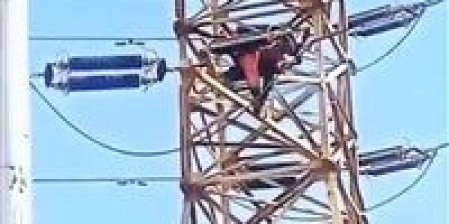 إصابة
      فني
      كهرباء
      بصعق
      خلال
      صيانة
      برج
      ضغط
      عالٍ
      بطامية
      في
      الفيوم
      ونقله
      للمستشفى