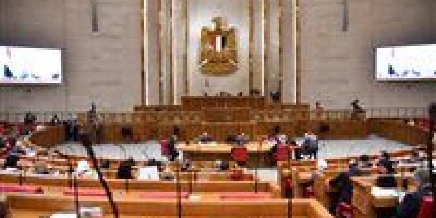 الأربعاء.. وزيرا المالية والتخطيط أمام البرلمان لعرض البيان المالي للموازنة الجديدة وملف التنمية الاقتصادية