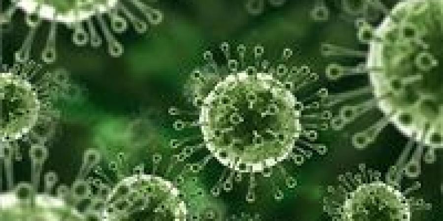 اختراق
      علمي
      جديد
      قد
      يوقف
      فيروسا
      يصيب
      95%
      من
      البشر