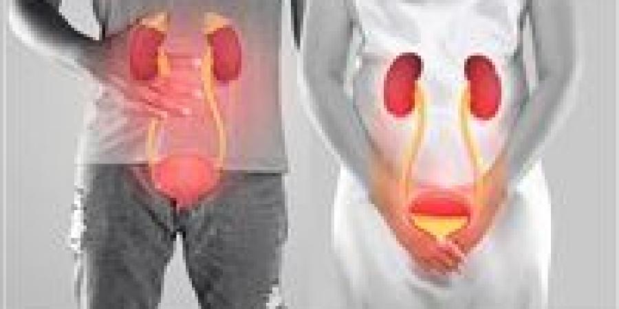 احتباس
      البول:
      الأسباب
      والأعراض
      وطرق
      العلاج
      المنزلي
      ومتى
      يصبح
      خطيراً
      فوراً
      التوجه