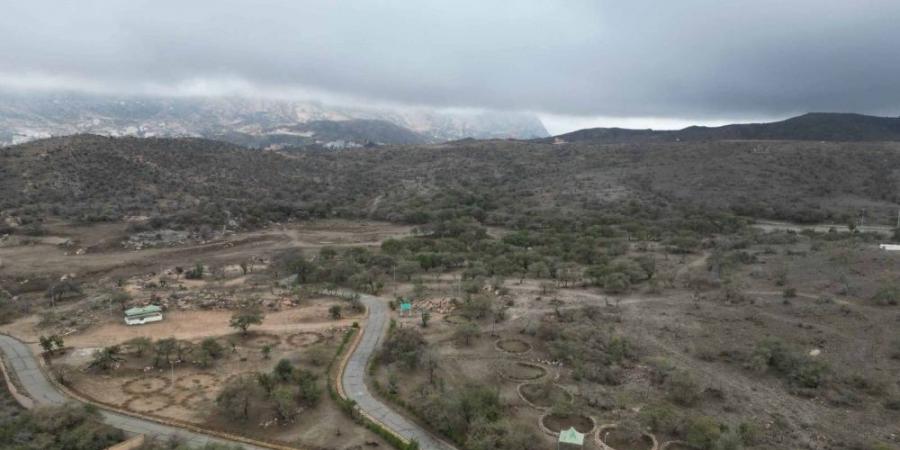 الغطاء النباتي: 3 ملايين م2 فرص استثمارية لتعزيز السياحة البيئية بالباحة