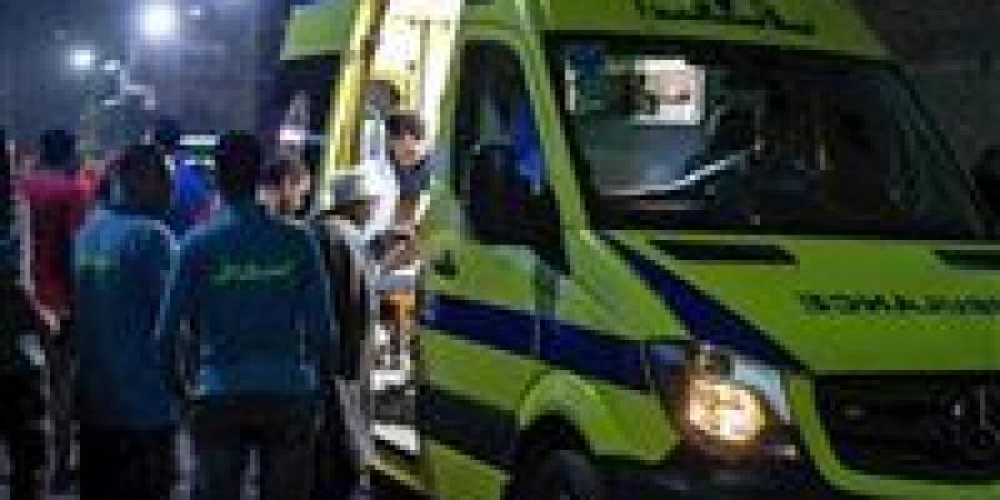 مصرع
      طفل
      صدمته
      سيارة
      بطريق
      الإسماعيلية
      السويس
      الصحراوي