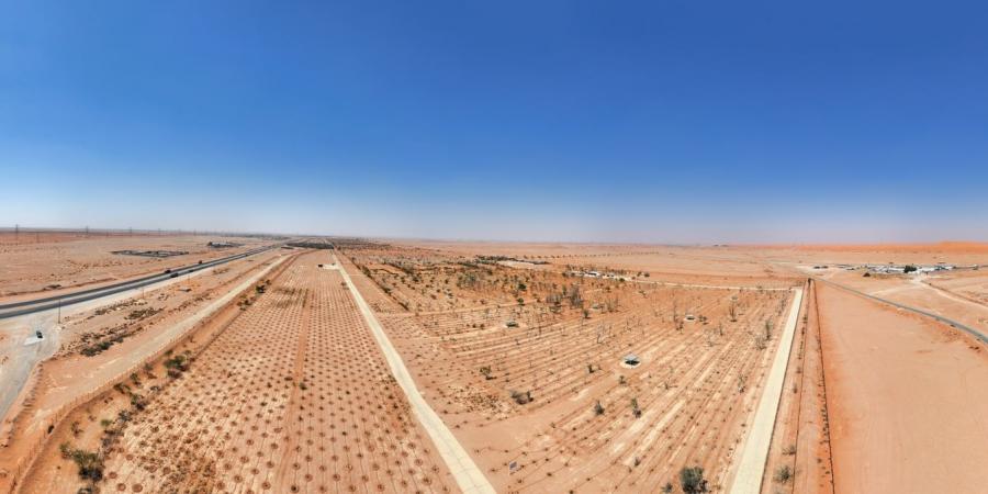 توقيع عقود استثمارية لتطوير 3 متنزهات وطنية بمساحة تتجاوز 21 مليون متر مربع