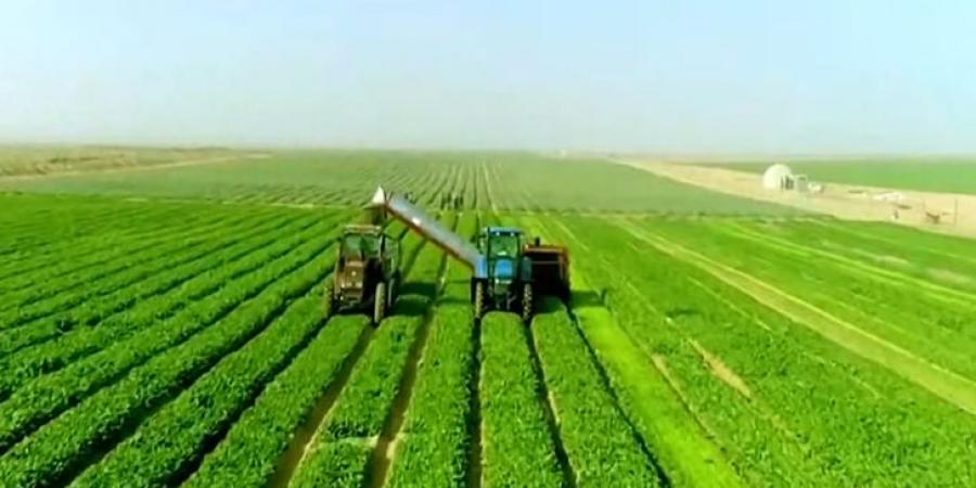 جهاز
      «مستقبل
      مصر»
      يعزز
      جاذبية
      الاستثمار
      ويحفّز
      مشاركة
      القطاع
      الخاص