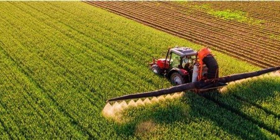 “الأمن الغذائي” تطرح مناقصة لاستيراد 710 آلاف طن من القمح