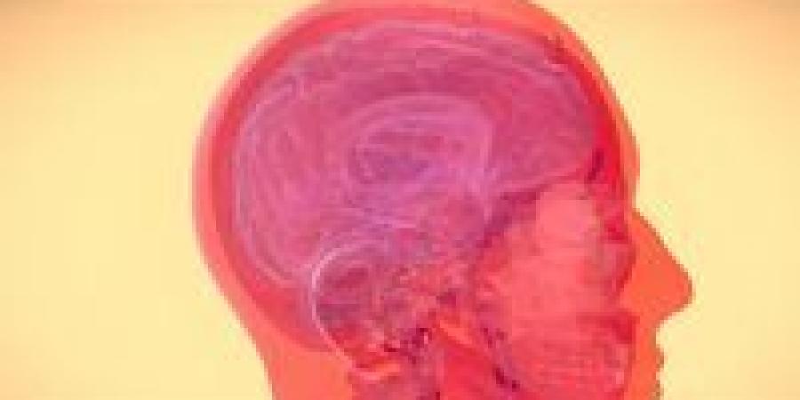 خطوات
      بسيطة
      لحماية
      الدماغ
      وتأخير
      التدهور
      المعرفي
      وتحسين
      الذاكرة
      يومياً