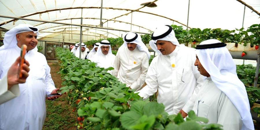 محافظ الأحمدي: دعم المزارعين أولوية لتعزيز الأمن الغذائي وتطوير الإنتاج المحلي