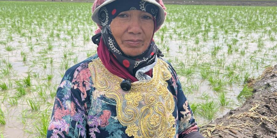 ولادها
      اتجوزوا
      وسابوها
      ٠٠
      حكاية
      40
      سنة
      كفاح
      لامرأة
      وسط
      الحقول