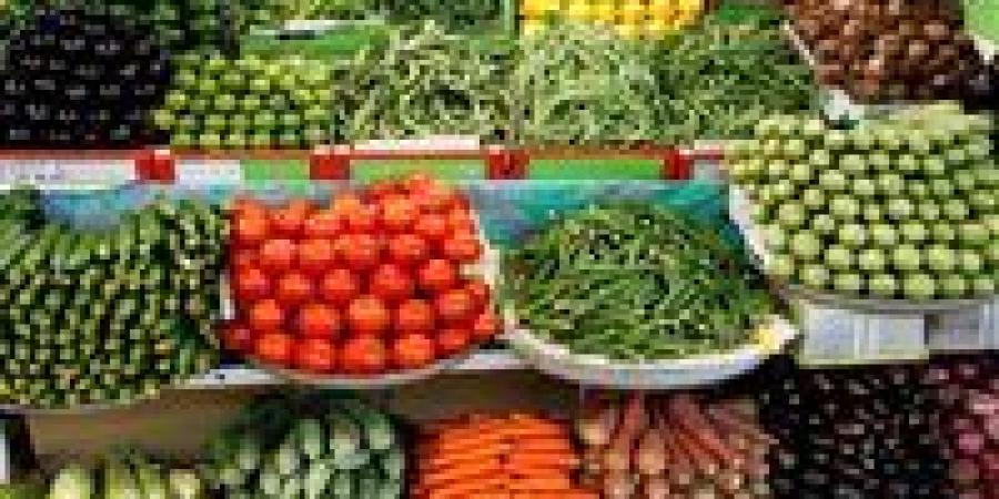 أسعار
      الخضار
      والفاكهة
      اليوم..
      كيف
      تتغير
      فاتورة
      بيتك؟