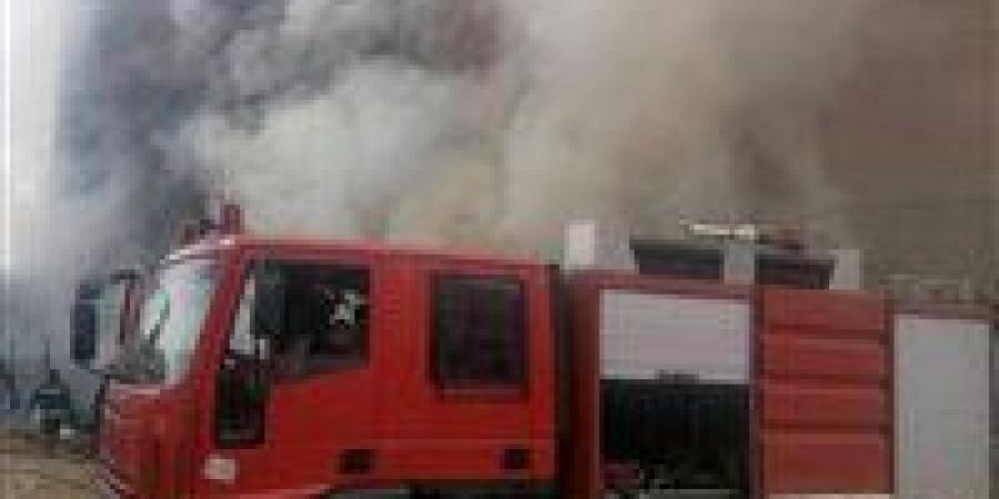 حريق
      ضخم
      يلتهم
      5
      منازل
      في
      قرية
      القبيبة
      بفرشوط
      ..
      والدفع
      بـ4
      سيارات
      إطفاء
      للسيطرة