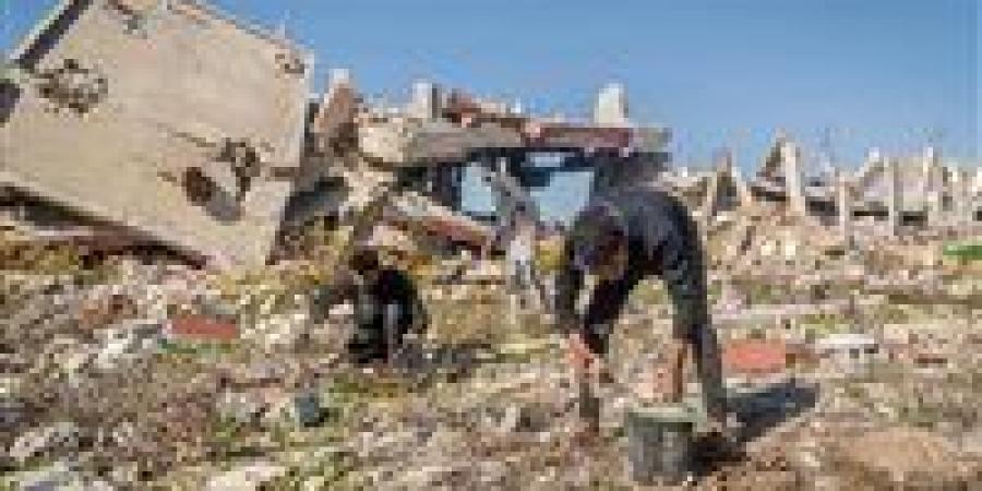 دراسة
      دولية:
      تضرر
      96%
      من
      الأراضي
      الزراعية
      في
      قطاع
      غزة
      بسبب
      الحرب