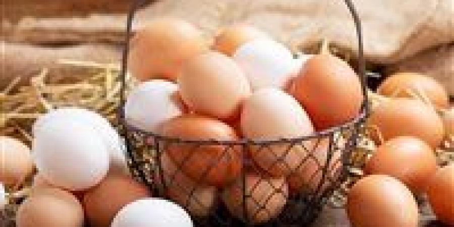 كيف
      يؤثر
      تناول
      البيض
      يوميًا
      على
      الأعصاب؟