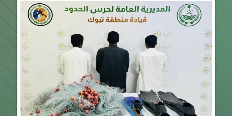 حرس الحدود يضبط 3 مخالفين لنظام الأنشطة البحرية في تبوك لاستخدامهم أدوات محظورة والصيد دون تصريح