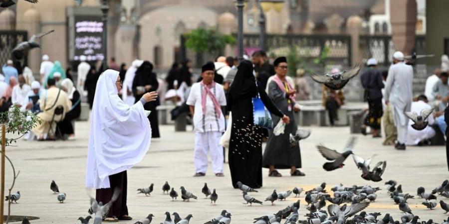 خطة تشغيلية لكفاءة الخدمات بالمدينة