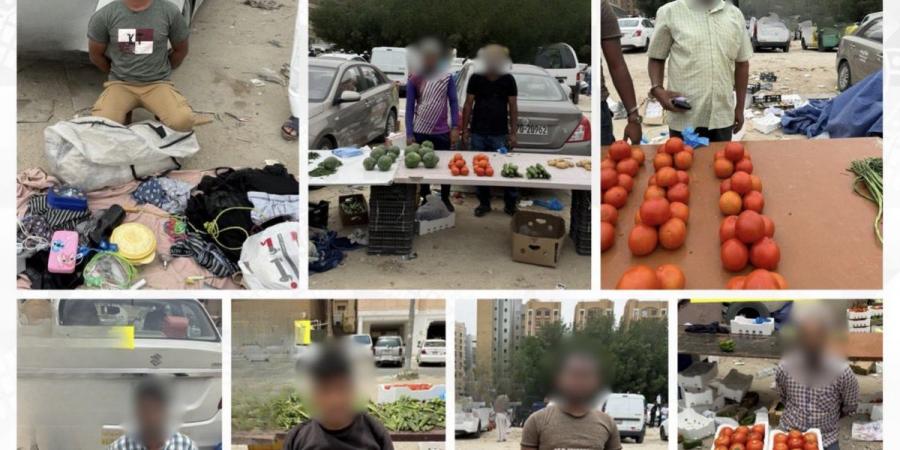 «الداخلية» تضبط بسطات عشوائية في المهبولة