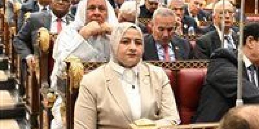 لتحقيق أمن الطاقة.. النائبة مروة قنصوه تناقش كيفية دعم الاستثمار في محطات الطاقة الشمسية أعلى المباني