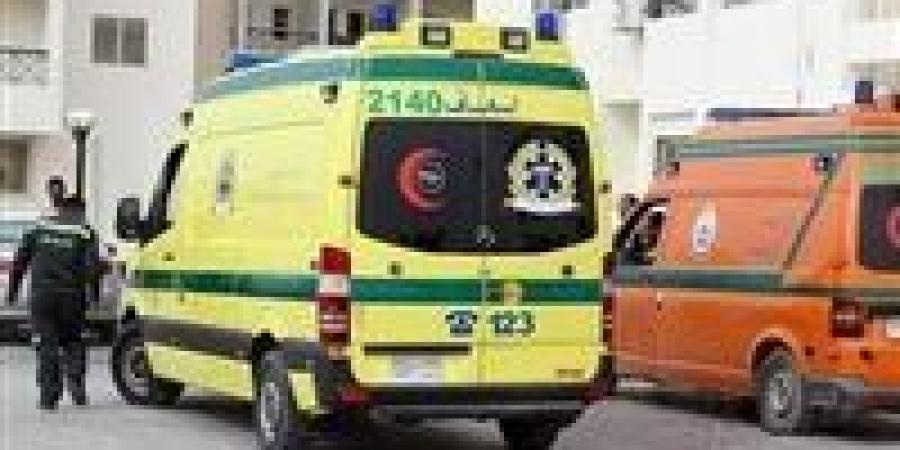 مصرع
      شاب
      وإصابة
      3
      آخرين
      في
      تصادم
      تروسيكلين
      بطريق
      اللاهون
      بالفيوم