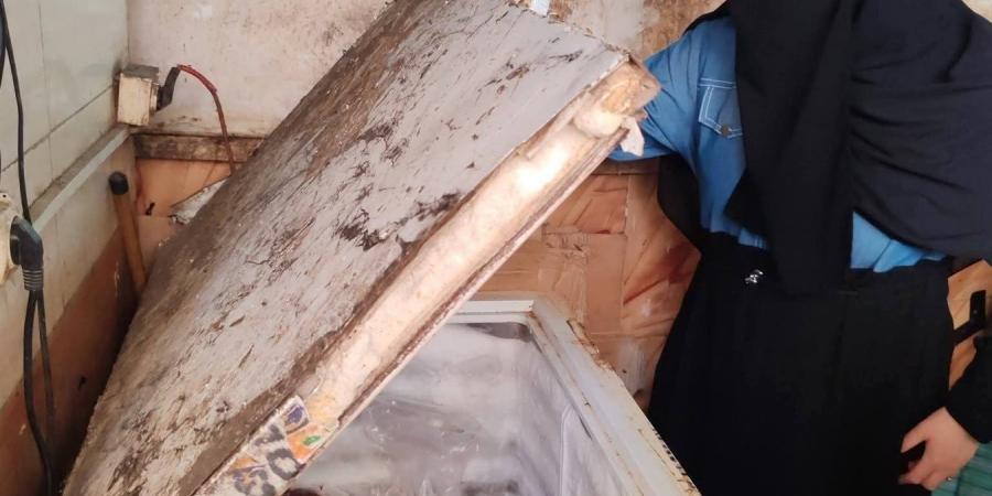 حملات
      مكبرة
      بسوقي
      الروضة
      والعصر
      ببورسعيد
      تضبط
      لحومًا
      فاسدة
      ودواجن
      محقونة
      بالمياه