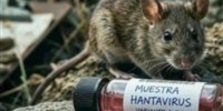 هل
      يبدأ
      الانتشار
      المرعب؟..
      خبراء
      يراقبون
      بقلق
      يوم
      19
      مايو
      الحاسم