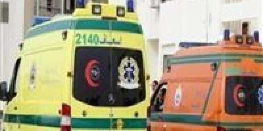 مصرع
      طالب
      صدمته
      دراجة
      نارية
      بالدقهلية