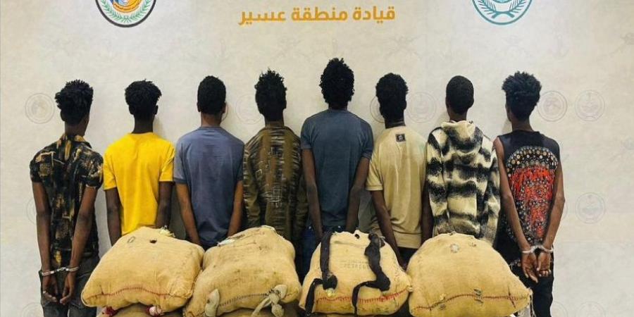 حرس الحدود يحبط تهريب 496 كيلوجرامًا من القات في عسير وجازان ويقبض على 19 مخالفًا