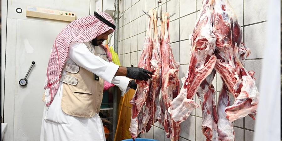 «الغذاء» للمستهلكين: تجنبوا الذبح العشوائي وتوجهوا إلى المسالخ المعتمدة