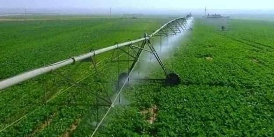 توشكى
      الخير..
      دلتا
      زراعية
      جديدة
      تعيد
      رسم
      خريطة
      التنمية
      في
      جنوب
      مصر