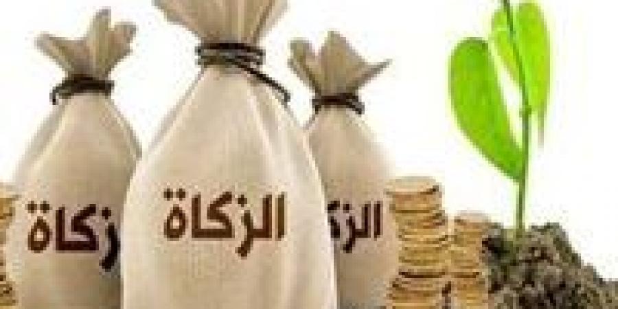 هل
      يجوز
      إخراج
      زكاة
      المال
      المتأخرة
      على
      أقساط؟..
      أمين
      الفتوى
      يجيب