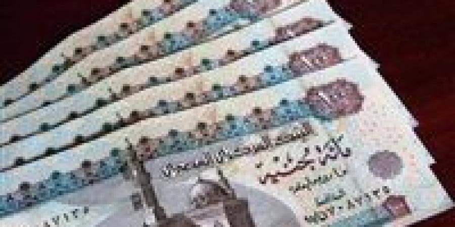 زيادة
      المعاشات
      2026..
      موعد
      التطبيق
      والنسبة
      المتوقعة