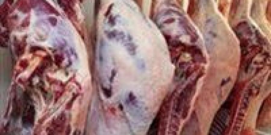 التموين
      تطلق
      خطة
      العيد:
      تخفيضات
      30%
      على
      اللحوم
      بالمنافذ
      وحظر
      تام
      للذبح
      خارج
      المجازر