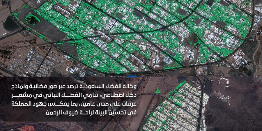 وكالة الفضاء السعودية ترصد نمواً في الغطاء النباتي بعرفات باستخدام الذكاء الاصطناعي وتقنيات الفضاء