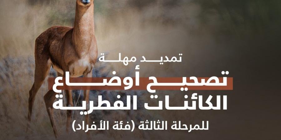 تمديد فترة تصحيح أوضاع الكائنات الفطرية غير المرخصة للأفراد حتى نهاية يونيو 2026