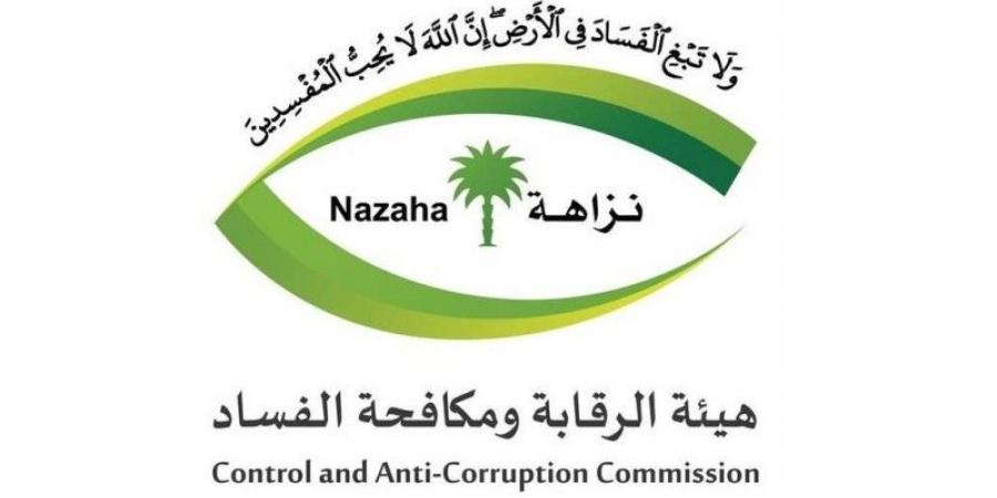 هيئة الرقابة ومكافحة الفساد تباشر 480 تحقيقًا وتوقف 160 شخصًا
