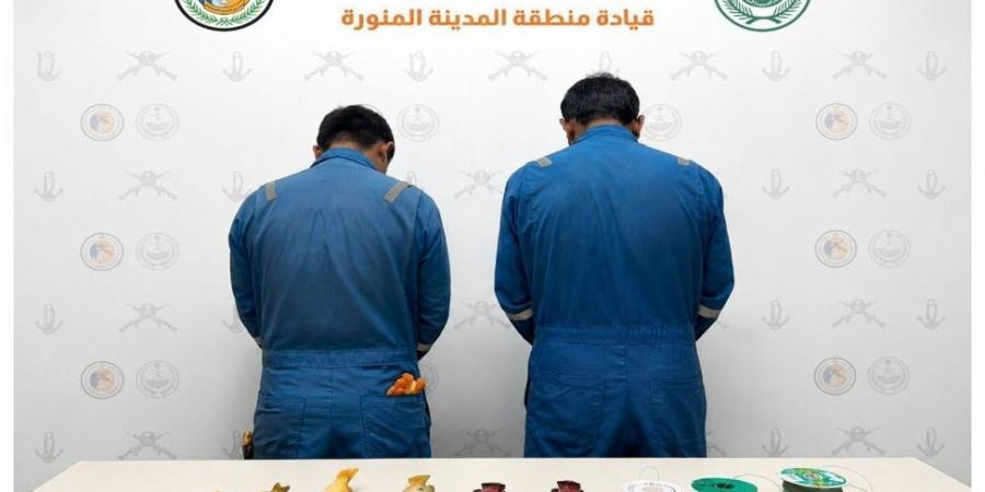 حرس الحدود بينبع يضبط مخالفين لنظام الصيد البحري ويصادر أسماكًا مصيدة