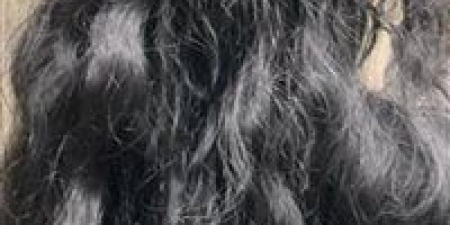 شعرك
      تاجك..7
      عادات
      تدمره
      وخبراء
      يكشفون
      سر
      قوتة
      ولمعانه
