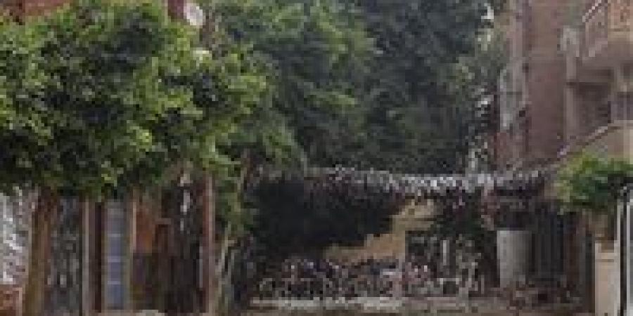الوحدة
      المحلية
      بمركز
      مغاغة
      بالمنيا
      تأمر
      بإزالة
      البرج
      المتسبب
      في
      وفاة
      سيدة
      بتنفيذ
      فوري