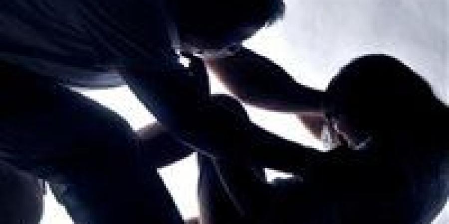 10
      سنوات
      سجنًا
      لمُدرس
      موسيقى
      أدين
      بهتك
      عرض
      تلميذته
      داخل
      منزلها
      بالجيزة