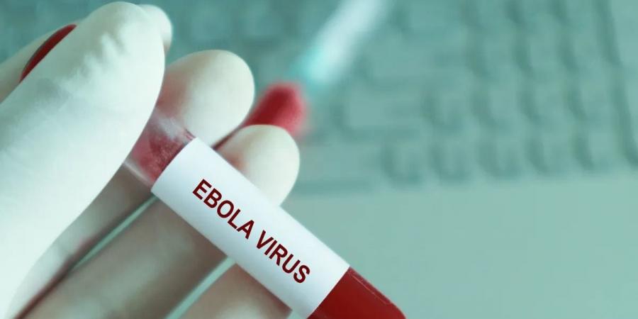 منظمة الصحة العالمية تطلق خطة بـ518 مليون دولار لاحتواء تفشي إيبولا في الكونغو الديمقراطية