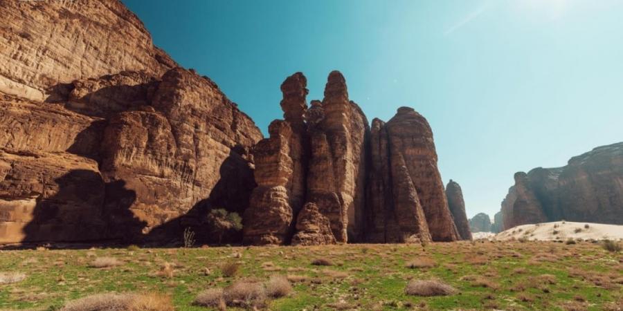 كم محمية طبيعية تصونها العلا ضمن نطاقها البيئي؟