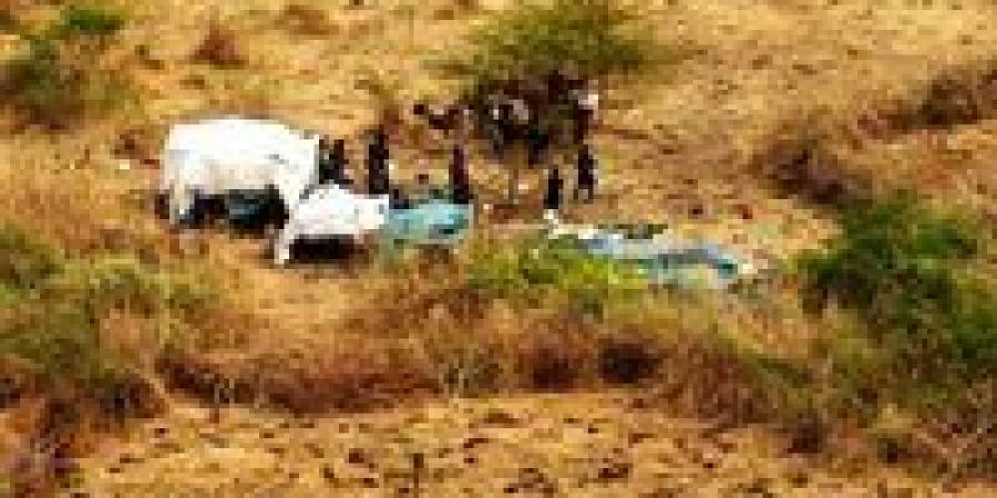أوضاع
      كارثية
      تواجه
      مئات
      الأسر..
      معاناة
      النازحين
      مع
      دخول
      «الخريف»
      في
      السودان