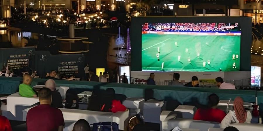 مصر.. استطلاع رسمي: 84% من المصريين مستعدون للتضحية بساعات النوم لمشاهدة المونديال