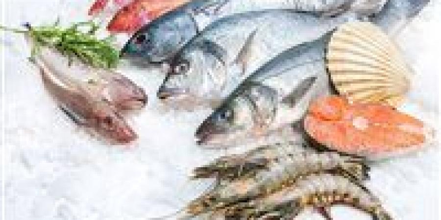 أسعار
      الأسماك
      اليوم..
      البلطي
      والبوري
      في
      صدارة
      البحث