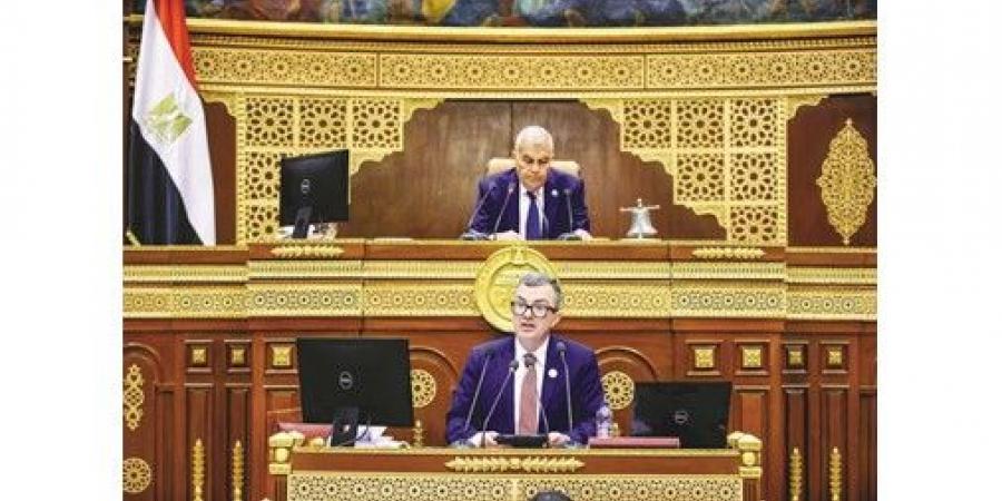 وزير التخطيط أمام «الشيوخ»: بناء الإنسان أولوية خطة التنمية الاقتصادية والاجتماعية 2026/2027
