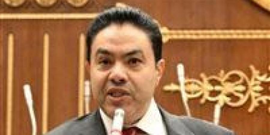 الشرقاوي: حماية المستهلك المصري يجب أن تظل أولوية عند التوسع في تصدير الدواجن