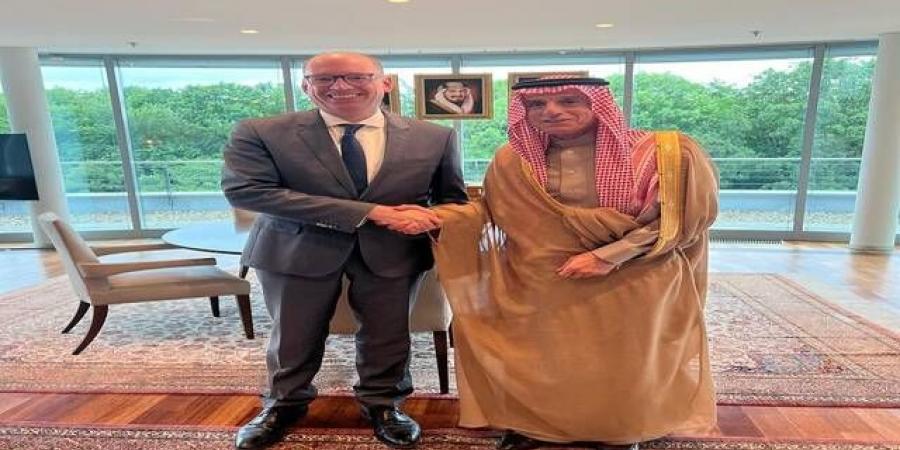 لقاء
      سعودي
      ألماني
      لبحث
      التطورات
      الإقليمية
      والدولية