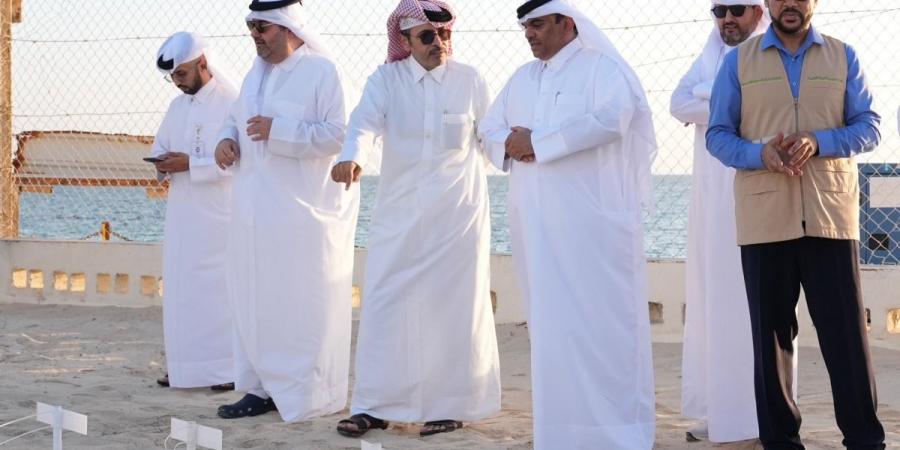 وزارة البيئة تدشن موسم فقس وإطلاق السلاحف "صقرية المنقار"