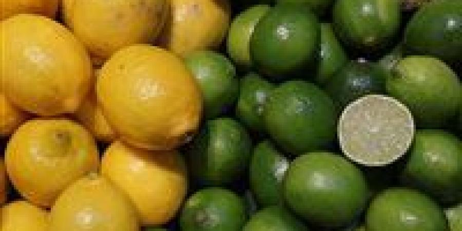 شعبة
      الخضروات:
      قفزة
      أسعار
      الليمون
      مؤقتة
      وبدء
      حصاد
      المحصول
      بالصعيد
      يضمن
      انخفاضها
      تدريجياً